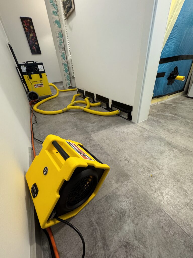 Wasserschadensanierung von Dennis Kasel